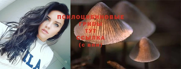 каннабис Беломорск