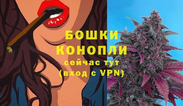 амф Белокуриха