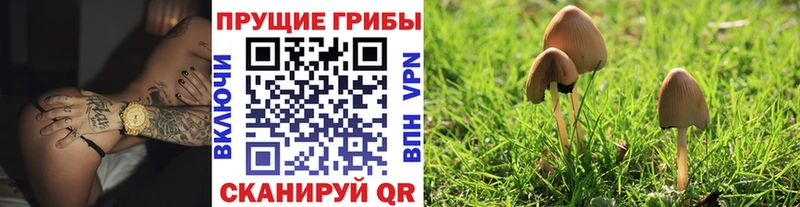 Галлюциногенные грибы прущие грибы  Еманжелинск 
